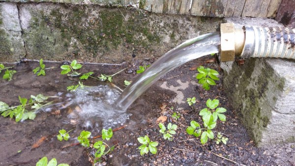 Atsauksme par profesionālu meistaru darbu